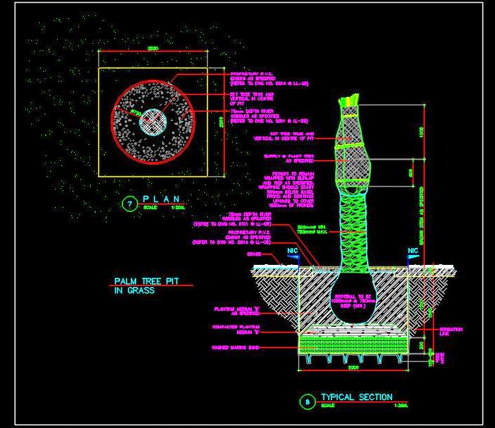 Palm Tree Planting Detail CAD Drawing